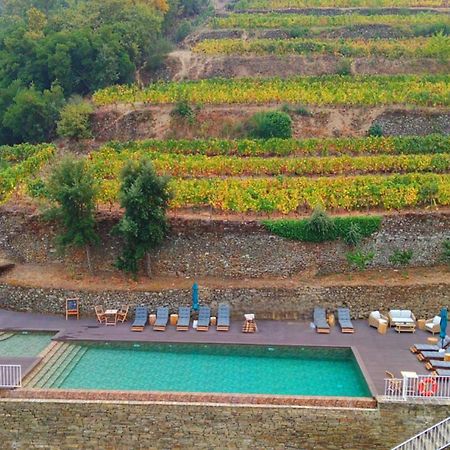 Quinta De Travassinhos- Douro Valley & Spa サンタ・マルタ・デ・ペナギアン エクステリア 写真