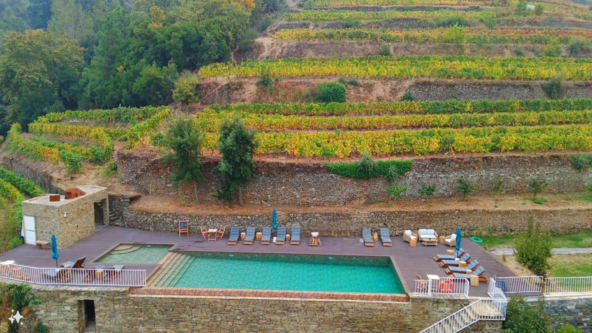 Quinta De Travassinhos- Douro Valley & Spa サンタ・マルタ・デ・ペナギアン エクステリア 写真