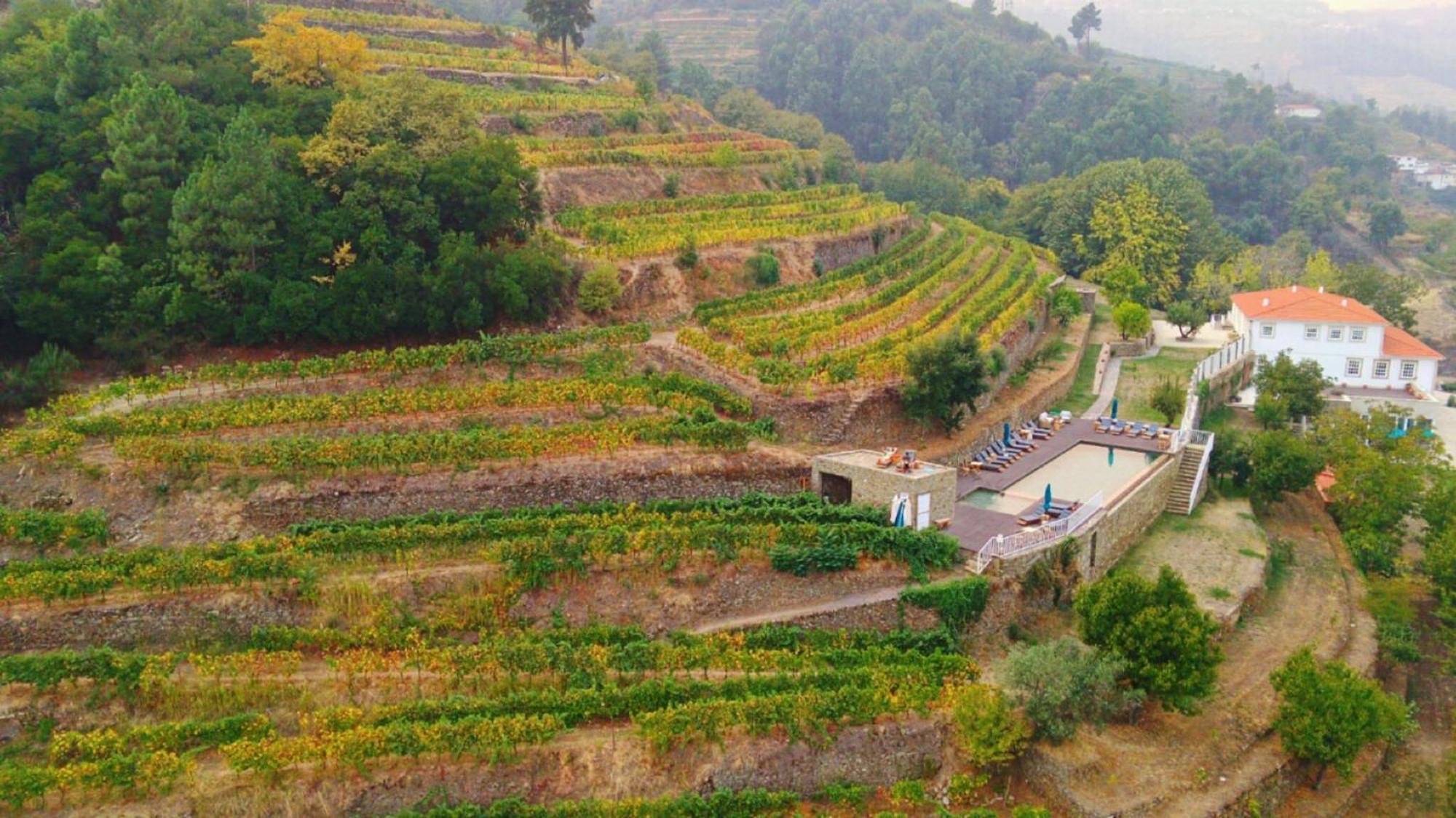 Quinta De Travassinhos- Douro Valley & Spa サンタ・マルタ・デ・ペナギアン エクステリア 写真